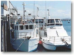 Fishing boats moored at the dock of Mackay Reef Fish Supplies